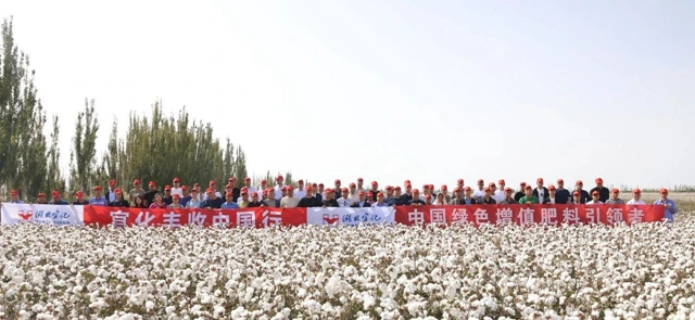 宜化豐收中國行！新疆棉花大型測產(chǎn)觀摩會成功舉行
