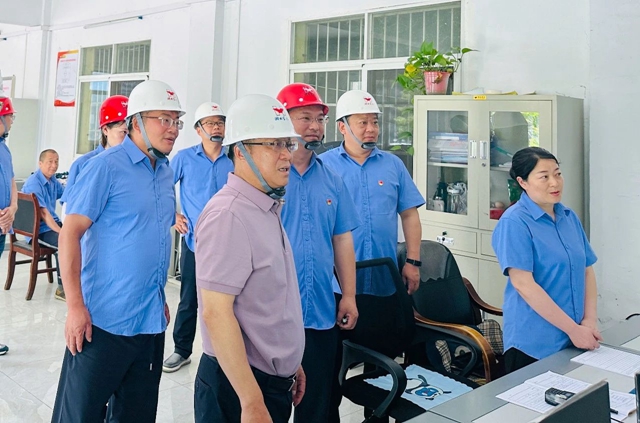 王大真一行到礦業(yè)公司現場辦公